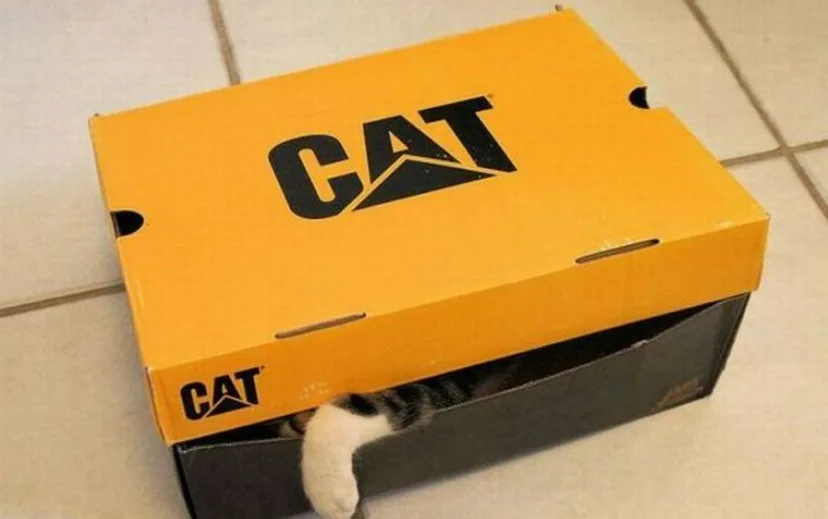 Celebrating 13 Years: My First Favorite Cake Day