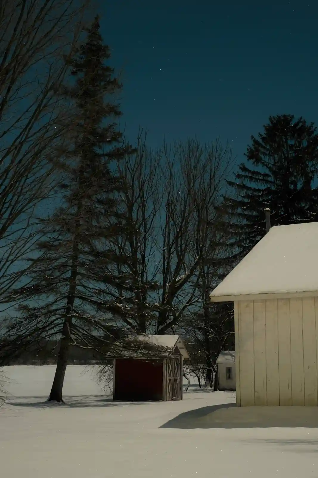 A snowy rural night scene with a red shed, a white barn, and bare trees under a starry dark blue sky. The overlaid text…