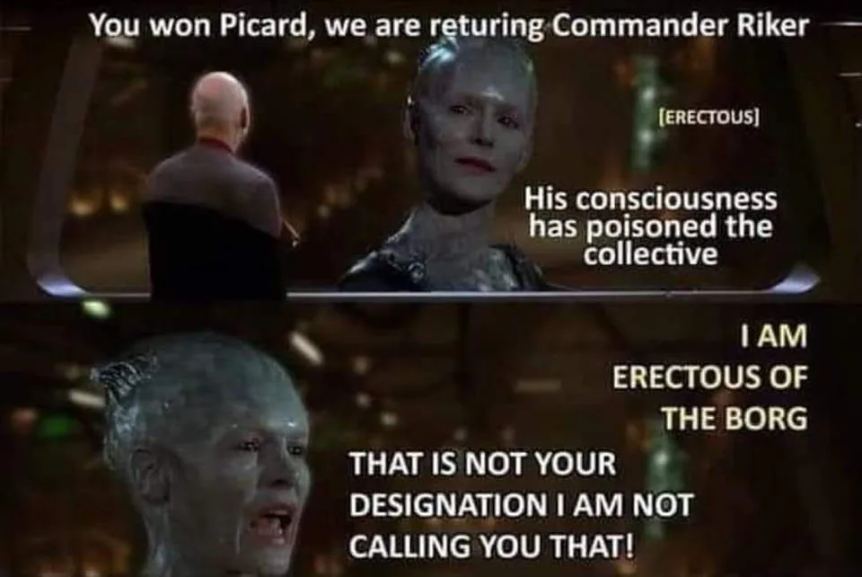 The meme features two panels from Star Trek: The Next Generation. The top panel shows a Borg Queen (with text overlay 'You…