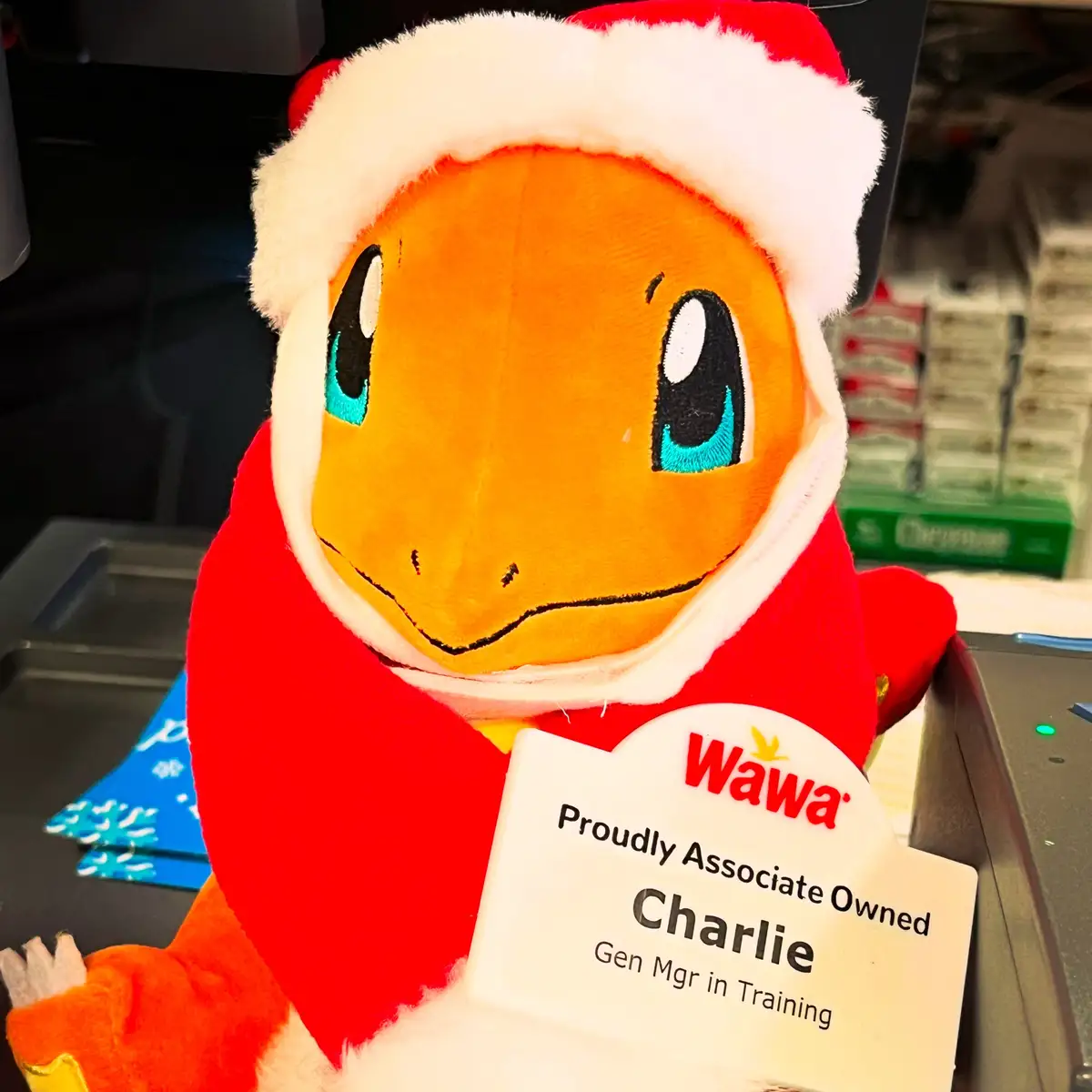 A plush Charizard toy dressed in a red Santa hat and outfit, holding a Wawa employee name tag that reads 'Proudly Associate…