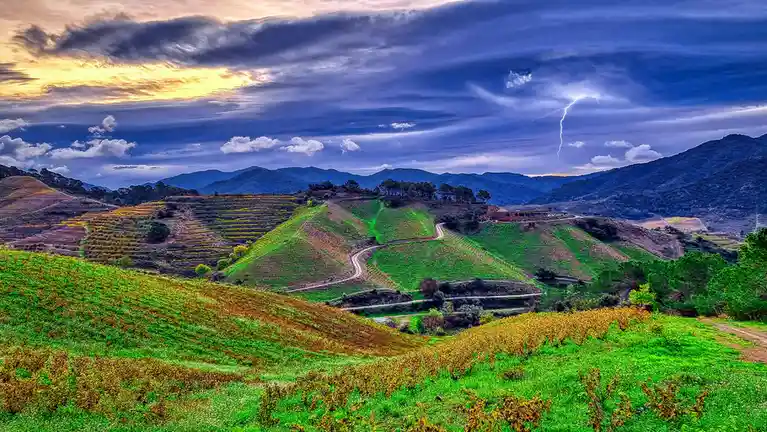 Exploring the Scenic Terraces of Poboleda's Vineyards in Priorat