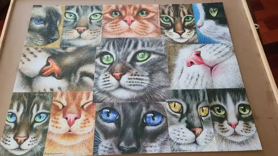 A completed jigsaw puzzle featuring a collage of many different cat faces with varied fur colors and eye colors, including…