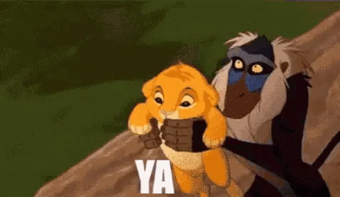 Yeet! The Ultimate Expression of Excitement!