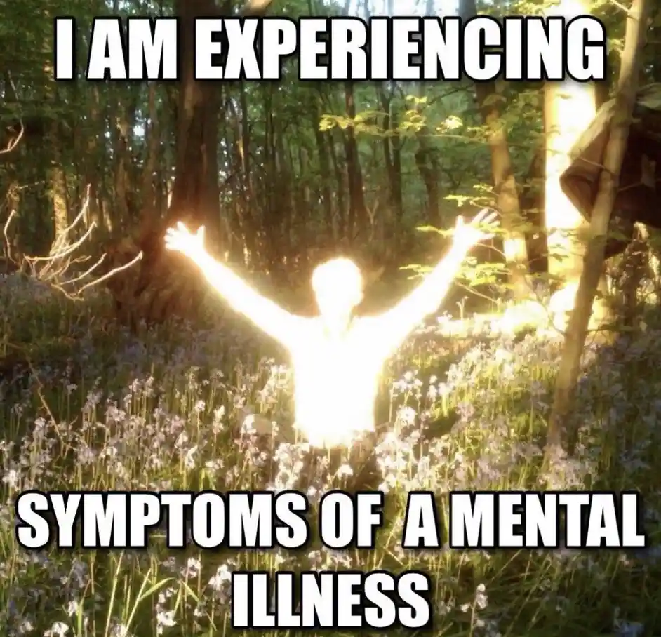 Take a Moment to Enjoy a Meme Break from Today's Chaos