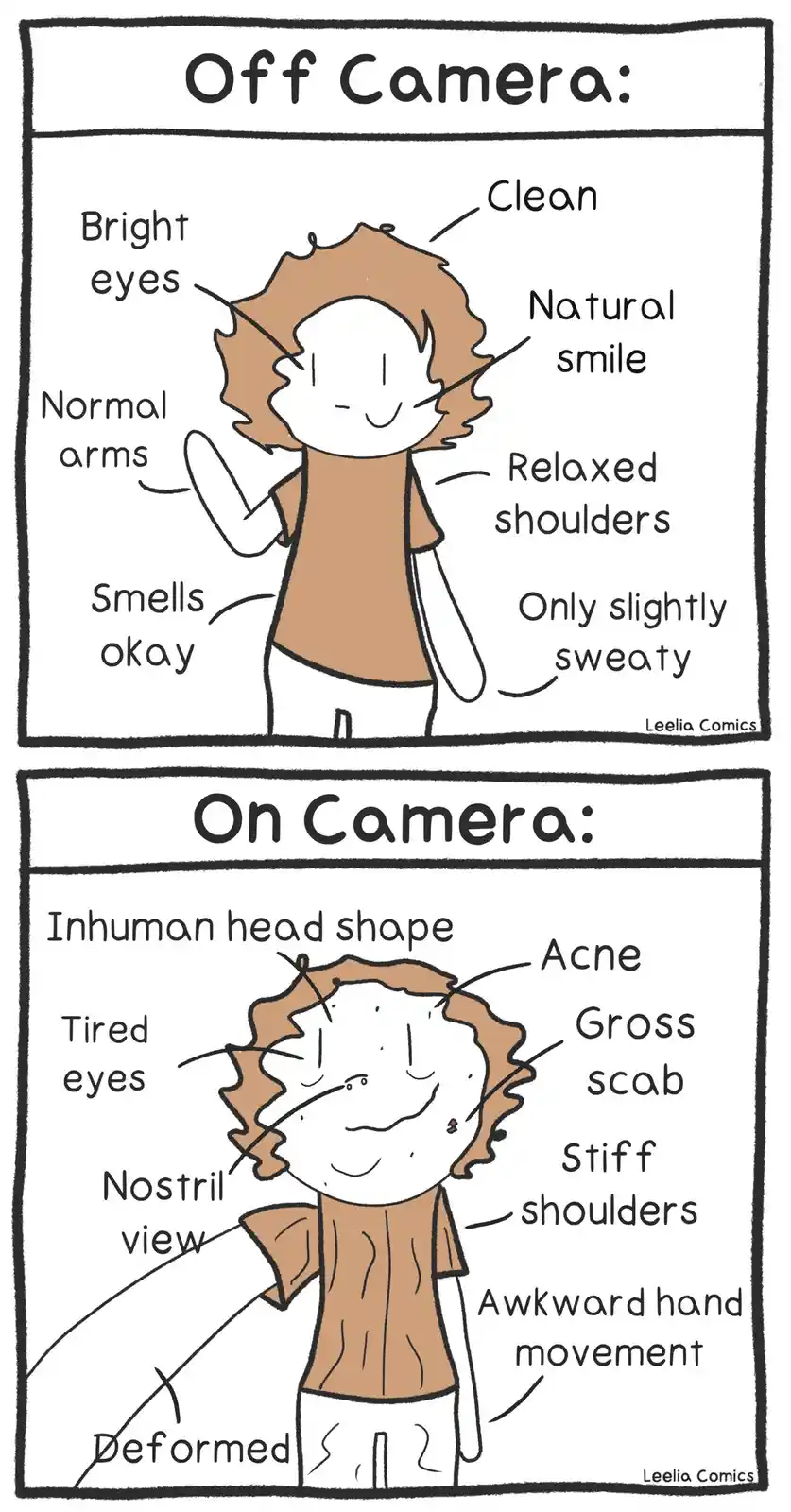 A two-panel comic compares a person's appearance off-camera, labeled with positive traits like 'bright eyes' and 'clean', to…
