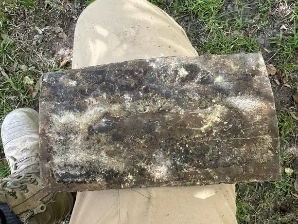 Unearthing Surprises: What I Discovered Under My House