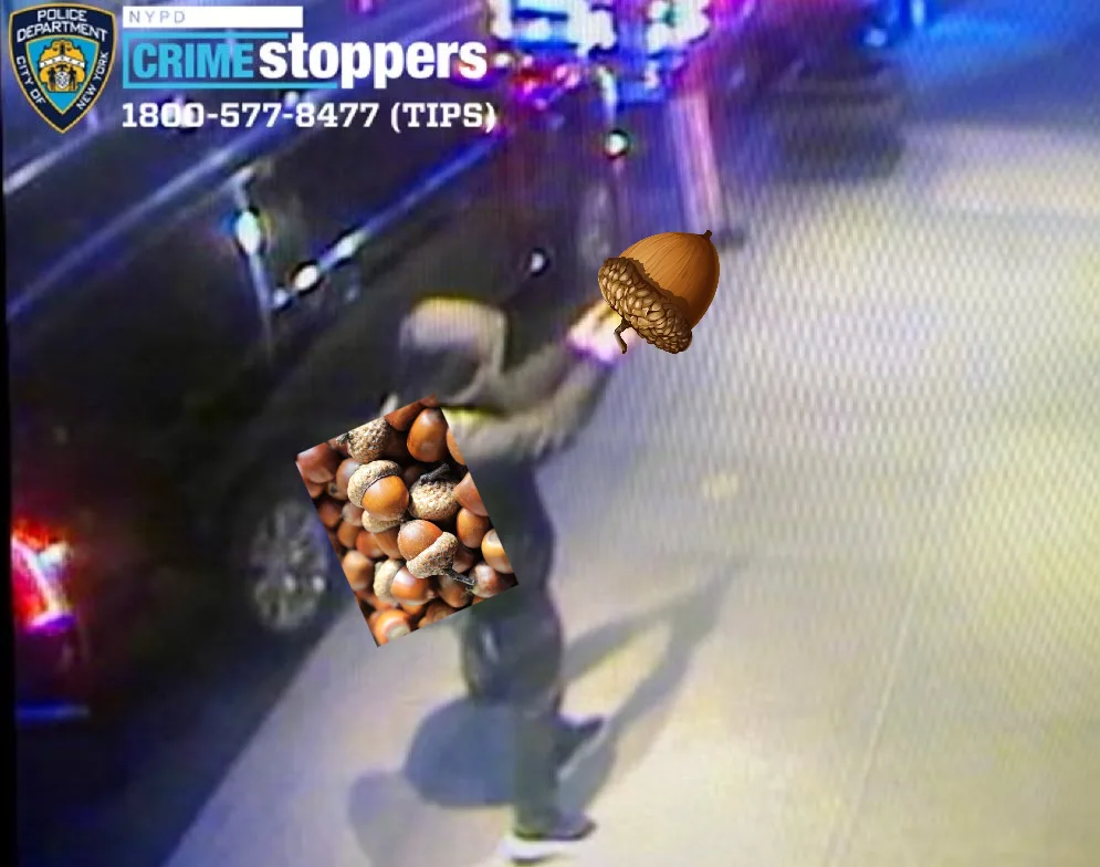 A blurry security camera image shows a person standing near a car at night, overlaid with NYPD Crime Stoppers branding and…