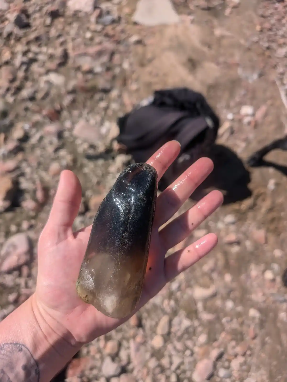 Check Out This Massive Crystal I Discovered in the Creek!