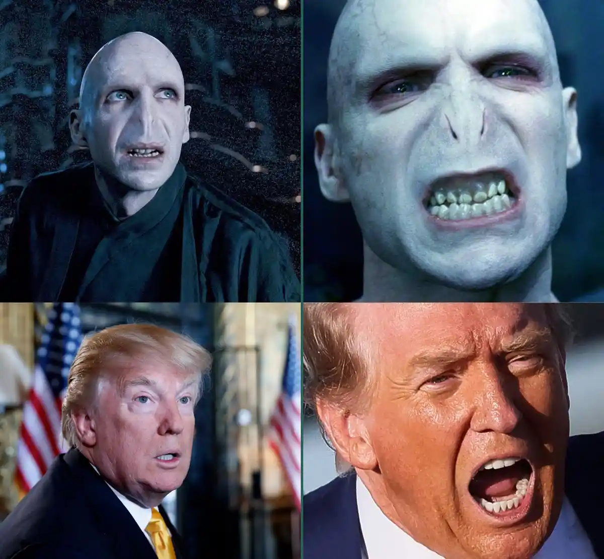 A four-panel image compares the facial expressions of Voldemort from the Harry Potter films with those of Donald Trump. The…