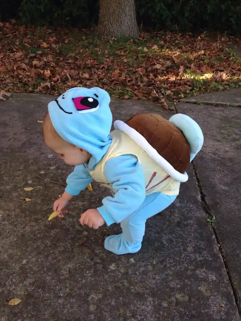 Look what I discovered: a tiny baby Squirtle!