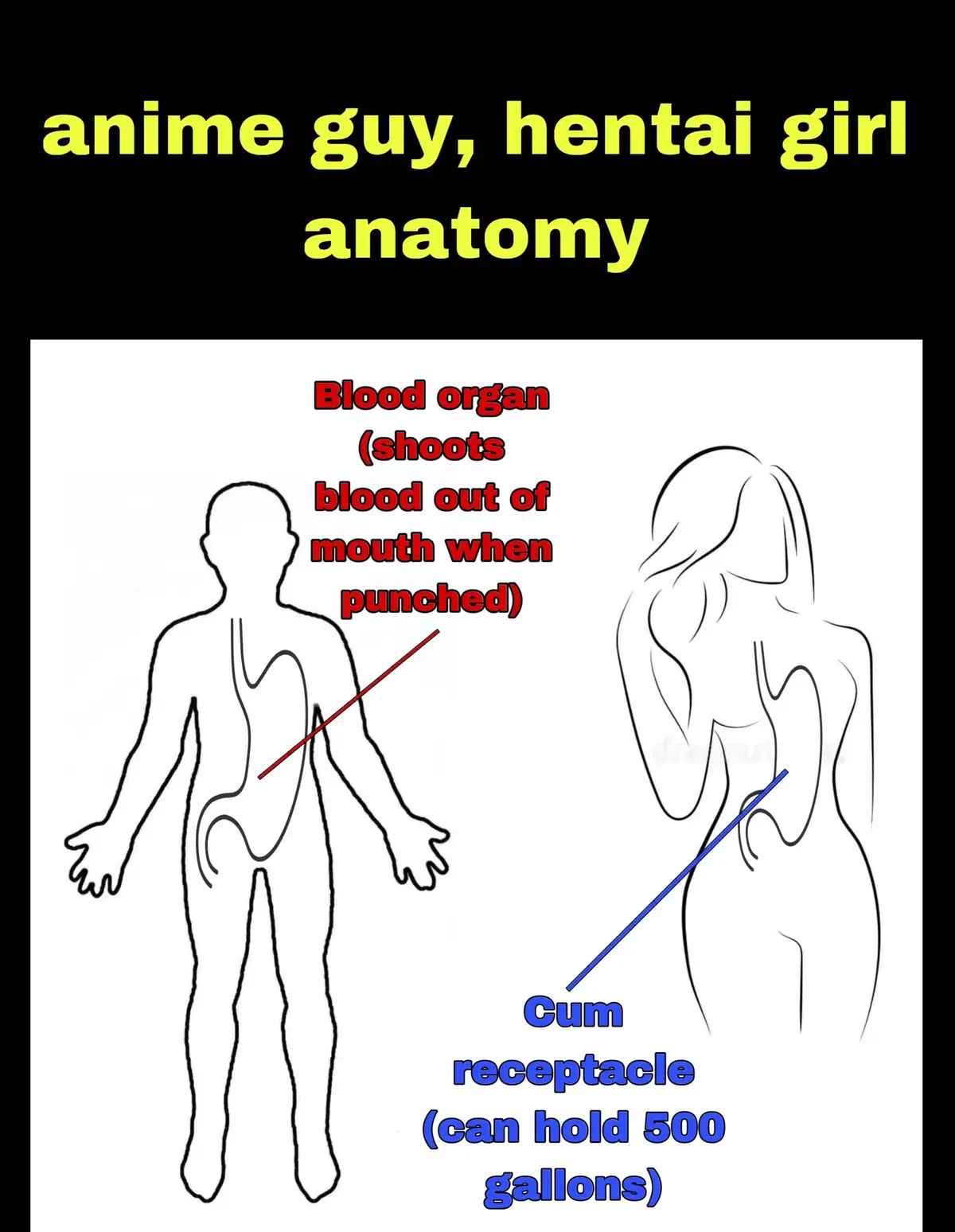The image displays two simple line drawings, a male and female human silhouette, with overlaid text labeling exaggerated…