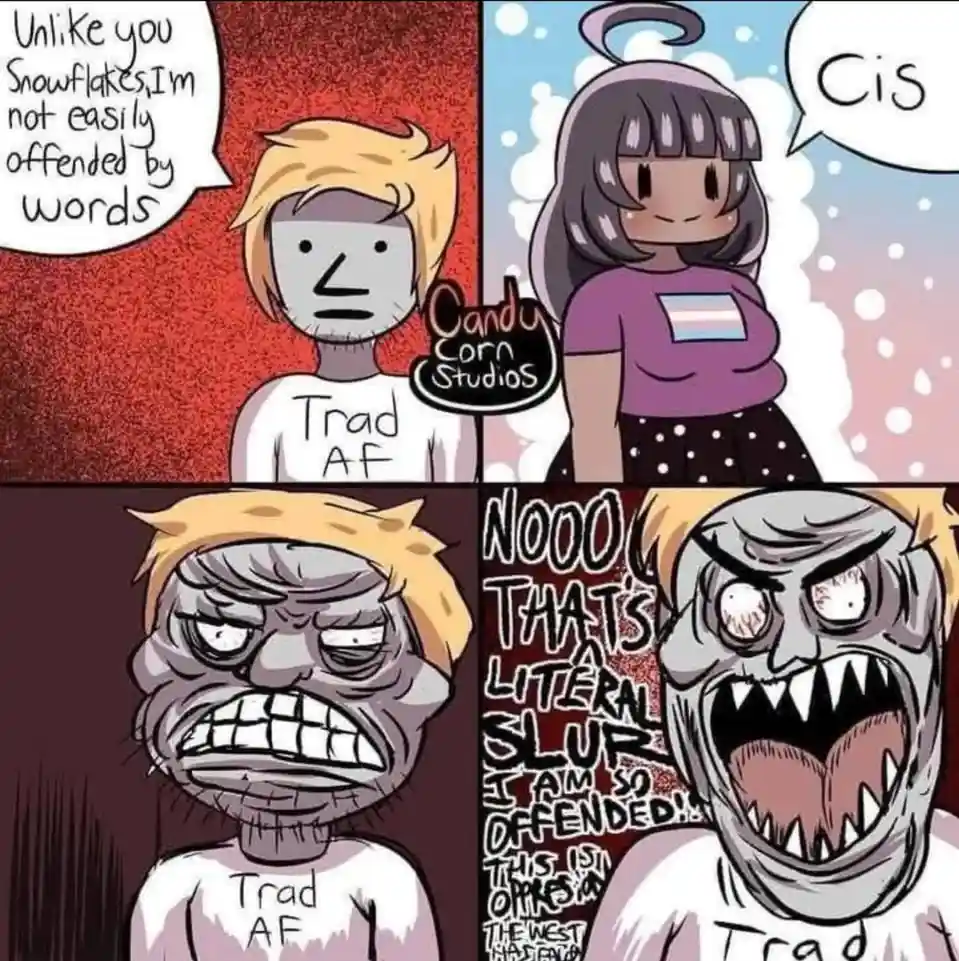 A four-panel comic shows a man in a 'Trad AF' shirt claiming he's not easily offended, then reacting with escalating horror…