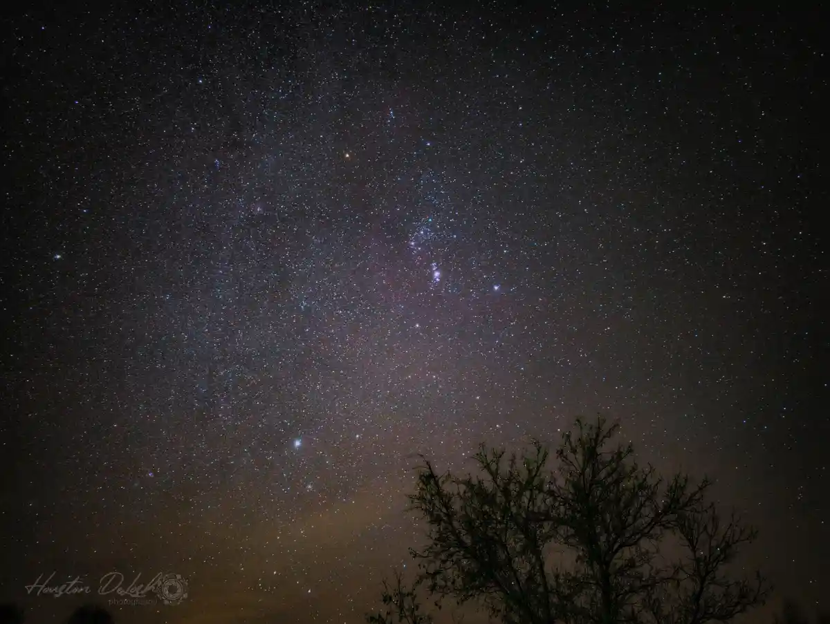 A stunning night sky photograph filled with countless stars and a faint Milky Way band, with the dark silhouette of leafless…
