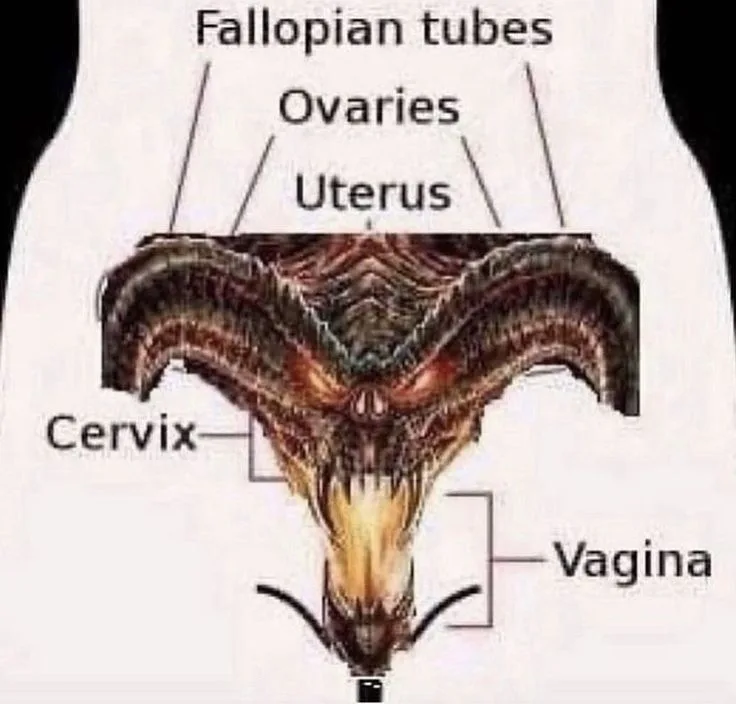 An anatomical diagram of the female reproductive system is humorously replaced with a demonic, horned creature's head and…