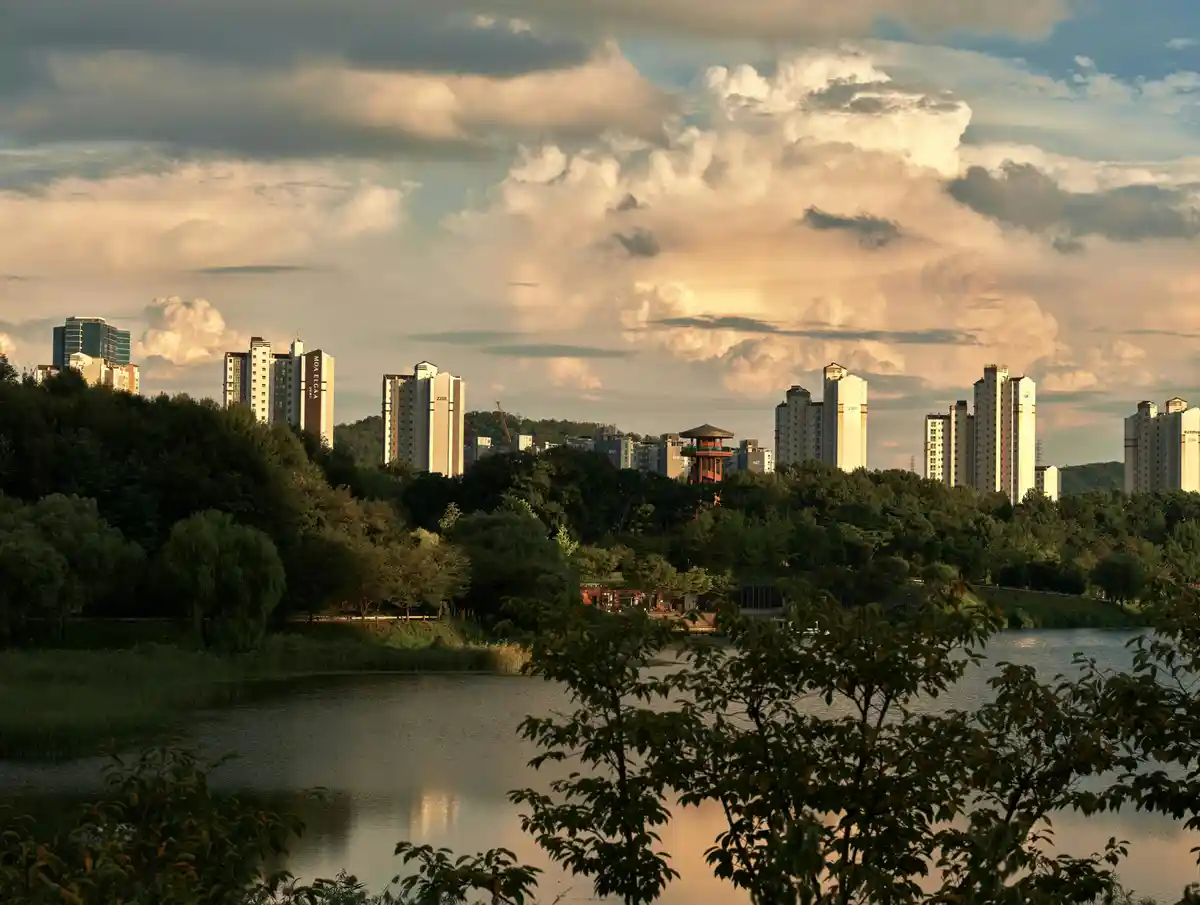 a scenic photo of a city skyline with tall apartment buildings behind a dense line of trees and a calm lake in the…