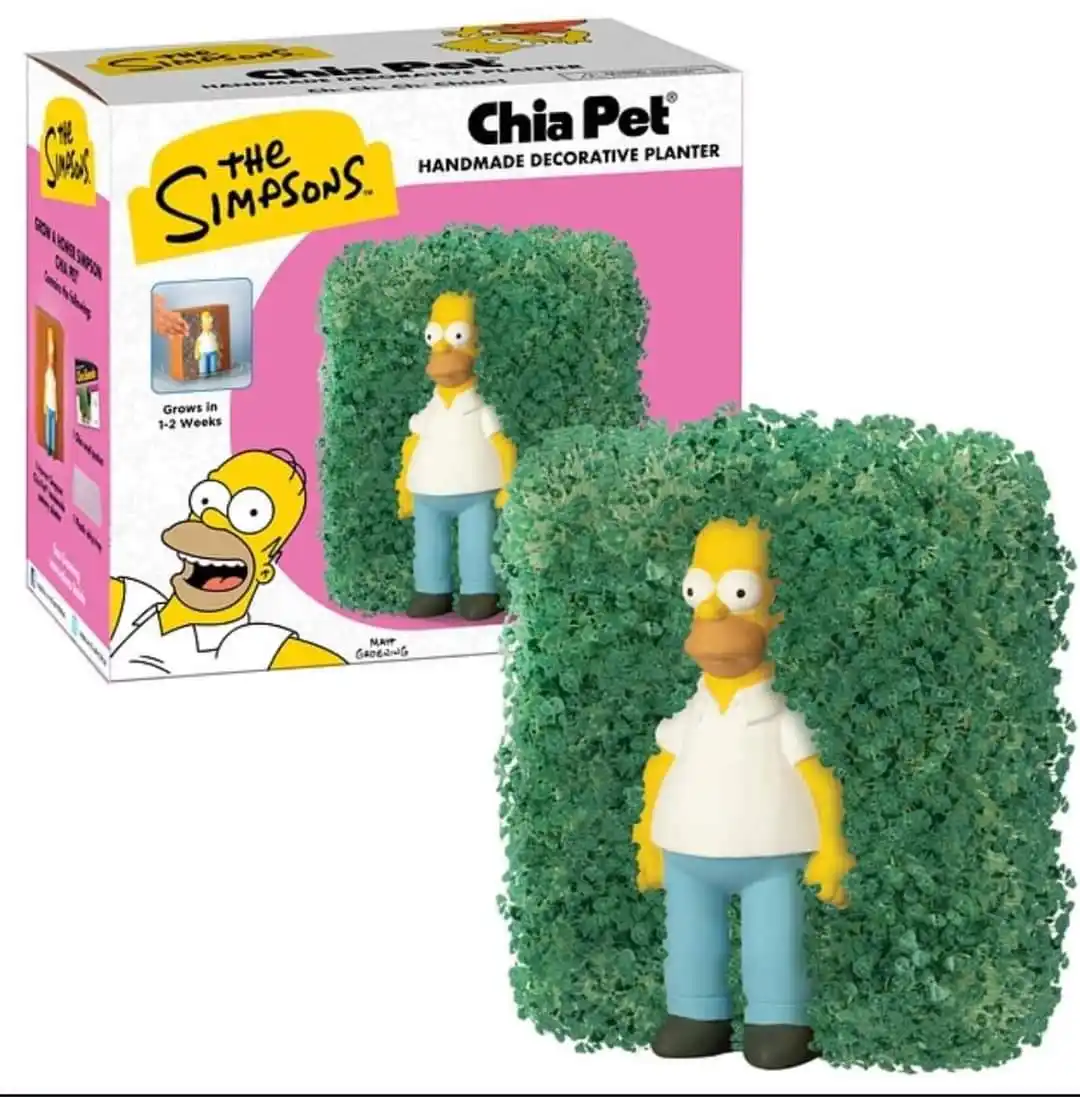 A Homer Simpson Chia Pet kit is shown with its packaging and the actual product. The packaging, featuring the 'The Simpsons'…