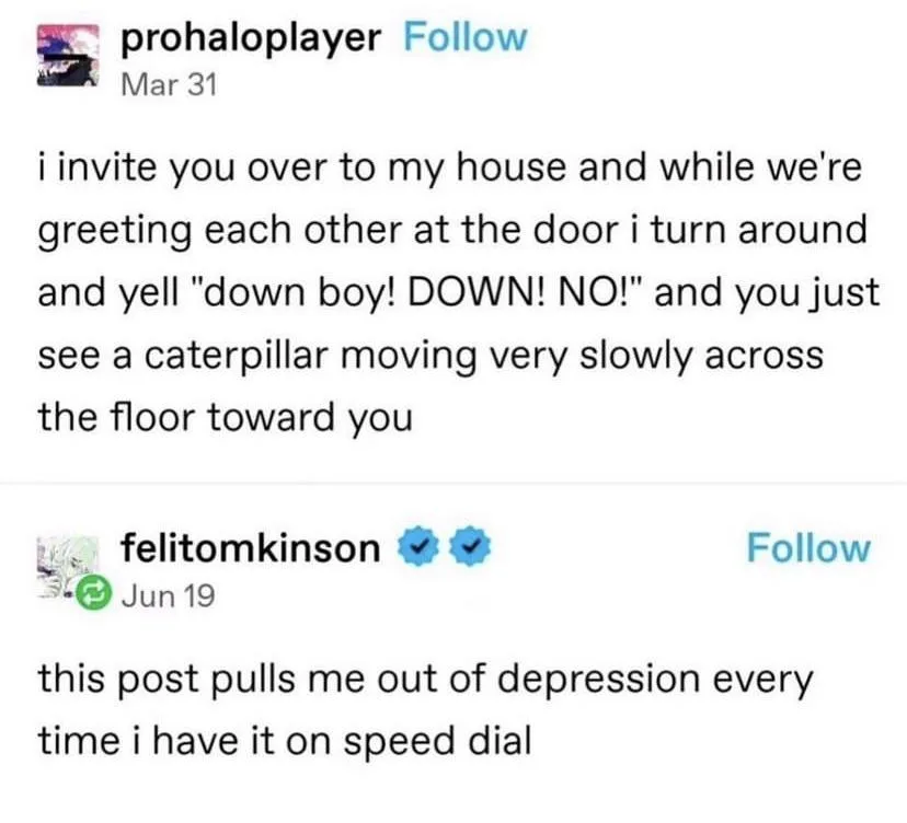 The Excitement of Welcoming Guests
