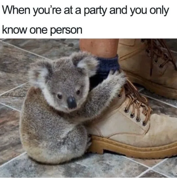 A small, fluffy koala is clinging to a person's tan work boot, which is on a tiled floor. The person is wearing a dark sock…