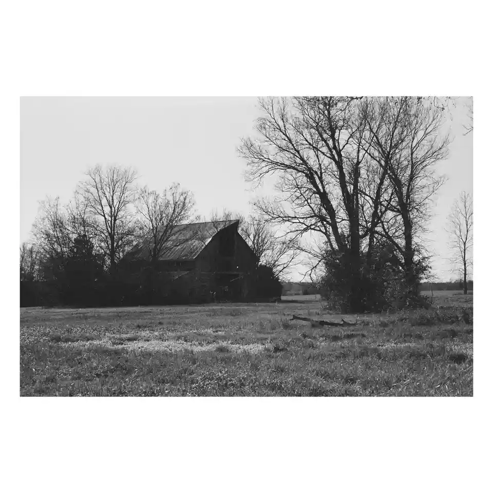 A black-and-white photo shows a dilapidated barn in a field with bare trees, overlaid with the text 'i'm not lazy, i'm in…