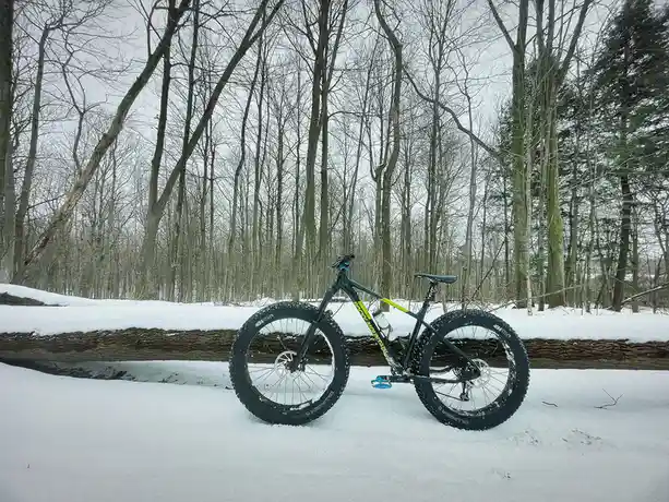 A fat bike with wide, snow-embedded tires stands upright in a snowy forest, leaning against a fallen log. Bare trees stretch…