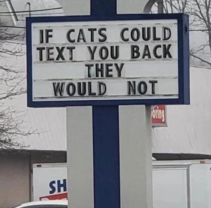 A weathered outdoor marquee sign displays the text 'IF CATS COULD TEXT YOU BACK THEY WOULD NOT' in black capital letters on…