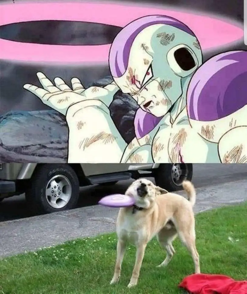The top half shows the anime character Frieza from Dragon Ball Z, looking distressed with a pink energy aura behind him, his…