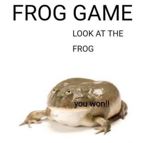 A large, plump, olive-green frog with a white underbelly is centered against a plain white background. Bold black text at…