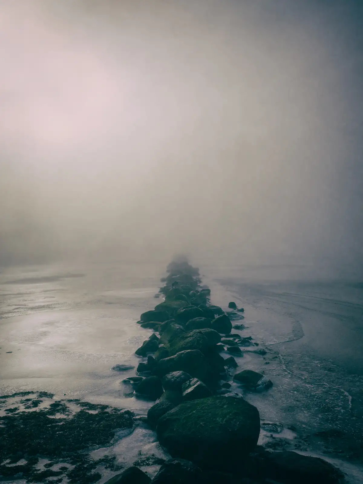 A misty, atmospheric photo shows a line of moss-covered rocks stretching into the foggy distance over a frozen or icy…