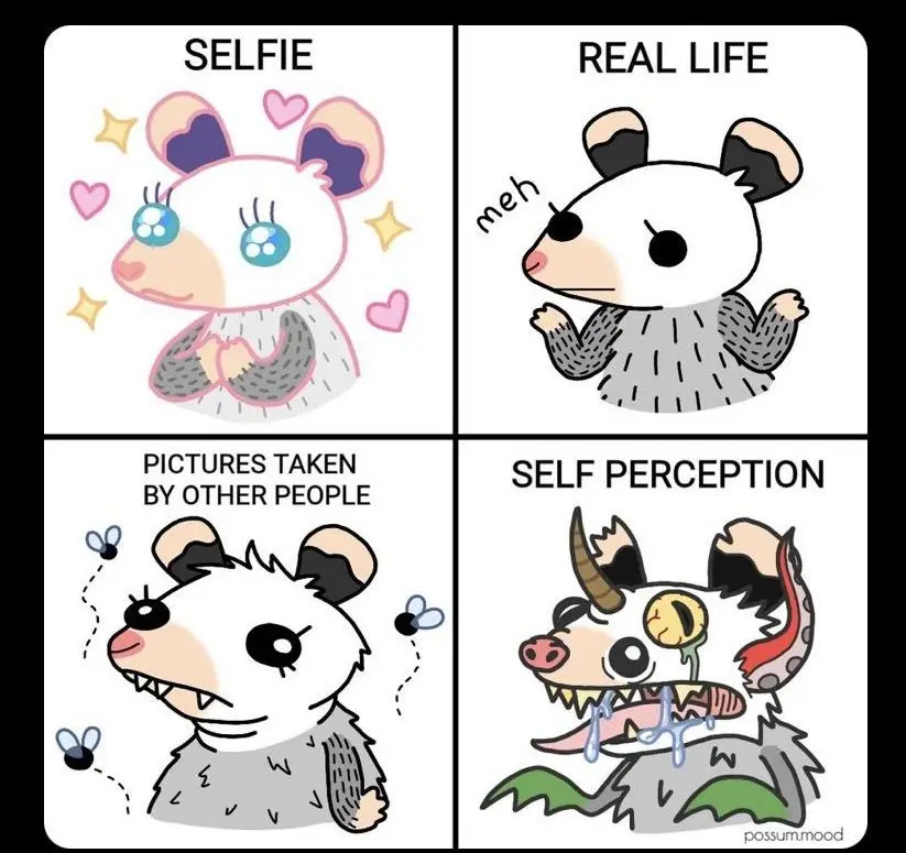 A four-panel meme featuring a cartoon opossum. Top-left shows a cute, sparkly opossum labeled 'SELFIE'. Top-right shows a…