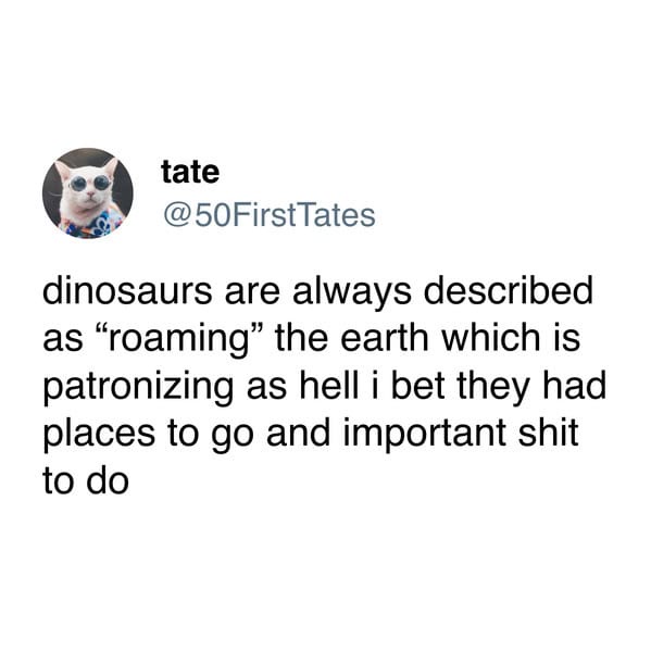 A screenshot of a tweet from user 'tate' (@50FirstTates) featuring a photo of a white cat wearing sunglasses. The tweet text…