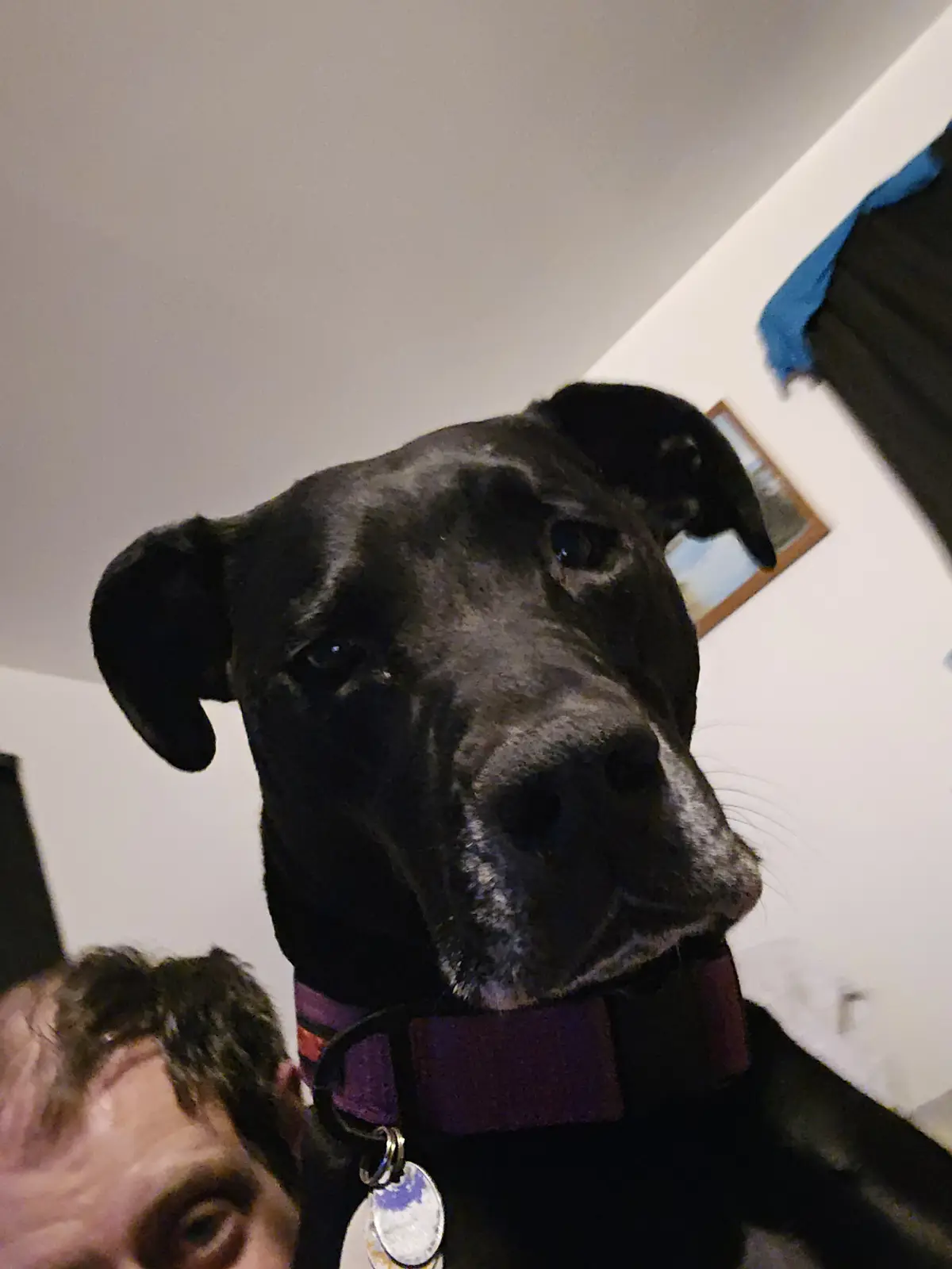 Hi, I'm Luna! Here's My Christmas Selfie with Dad!