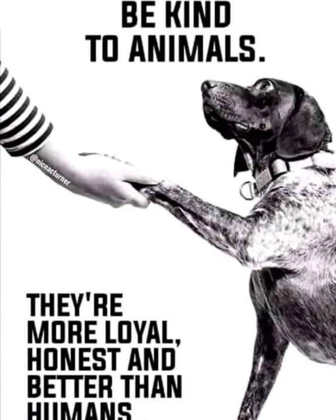 A black and white image shows a human hand in a striped sleeve shaking paws with a spotted dog wearing a collar. The text at…