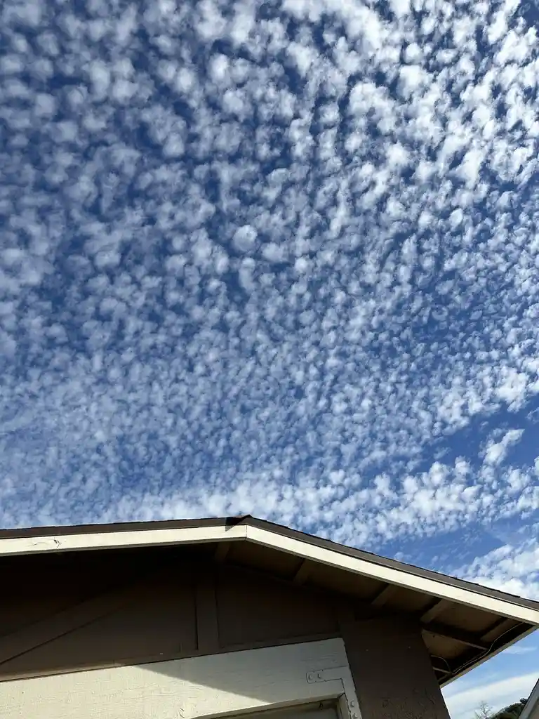 A low-angle photo shows the roofline of a house against a vibrant blue sky filled with a dense, textured pattern of small…