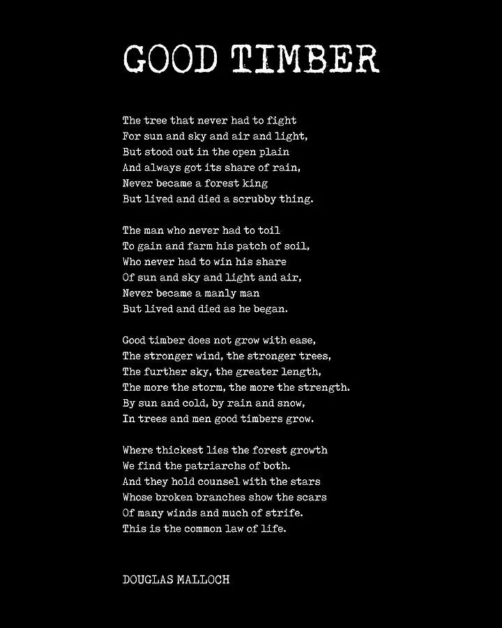 A black background with white text displaying the poem 'Good Timber' by Douglas Malloch, which uses the metaphor of trees to…