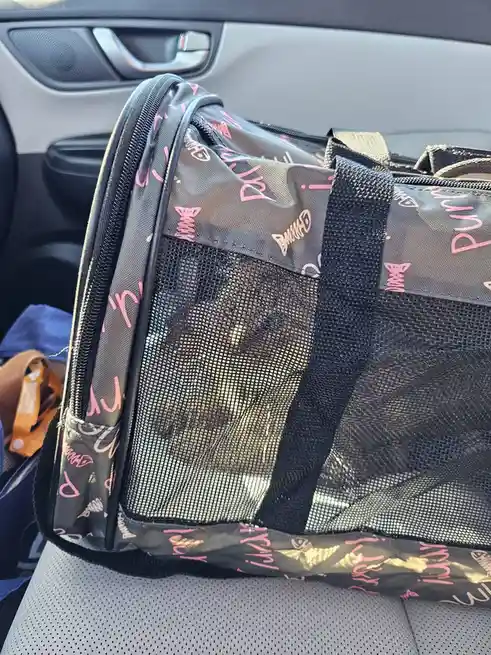 A black mesh pet carrier with pink and white 'purrr' text patterns sits on a car seat, containing a cat whose face is…