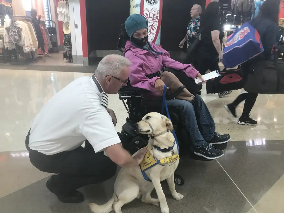 A man in a pilot uniform kneels to pet a yellow Labrador wearing a 'Canine Companions' vest, while the dog sits beside a…