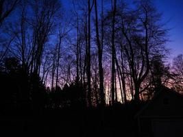 A silhouette of bare trees against a twilight sky with purple and blue hues, with a house partially visible on the right…