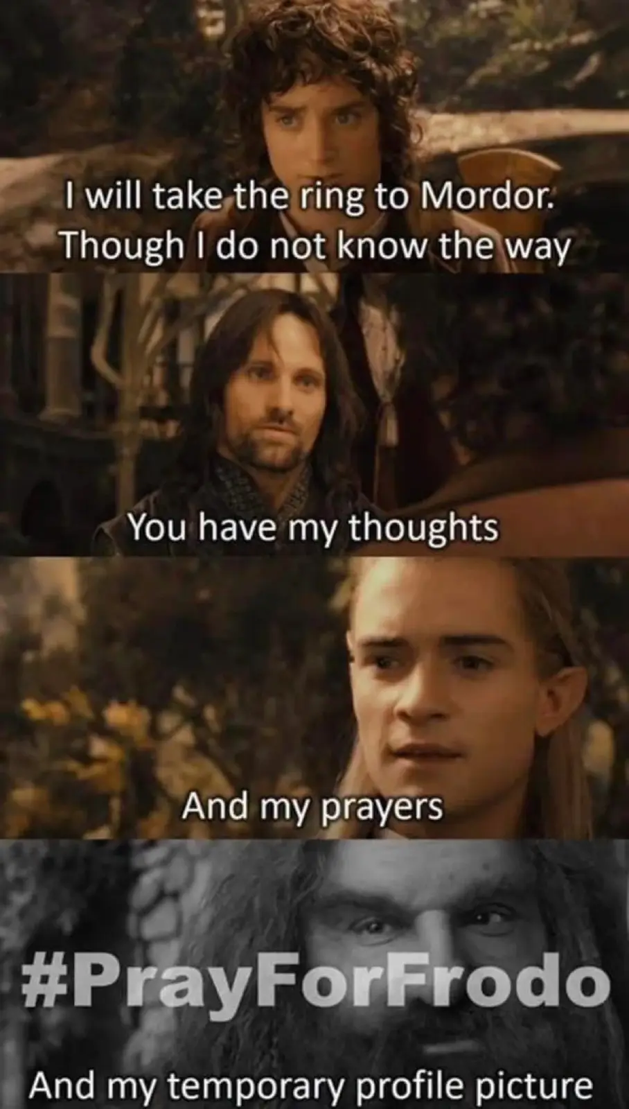 A four-panel meme featuring characters from 'The Lord of the Rings'. The top panel shows Frodo saying he'll take the ring to…