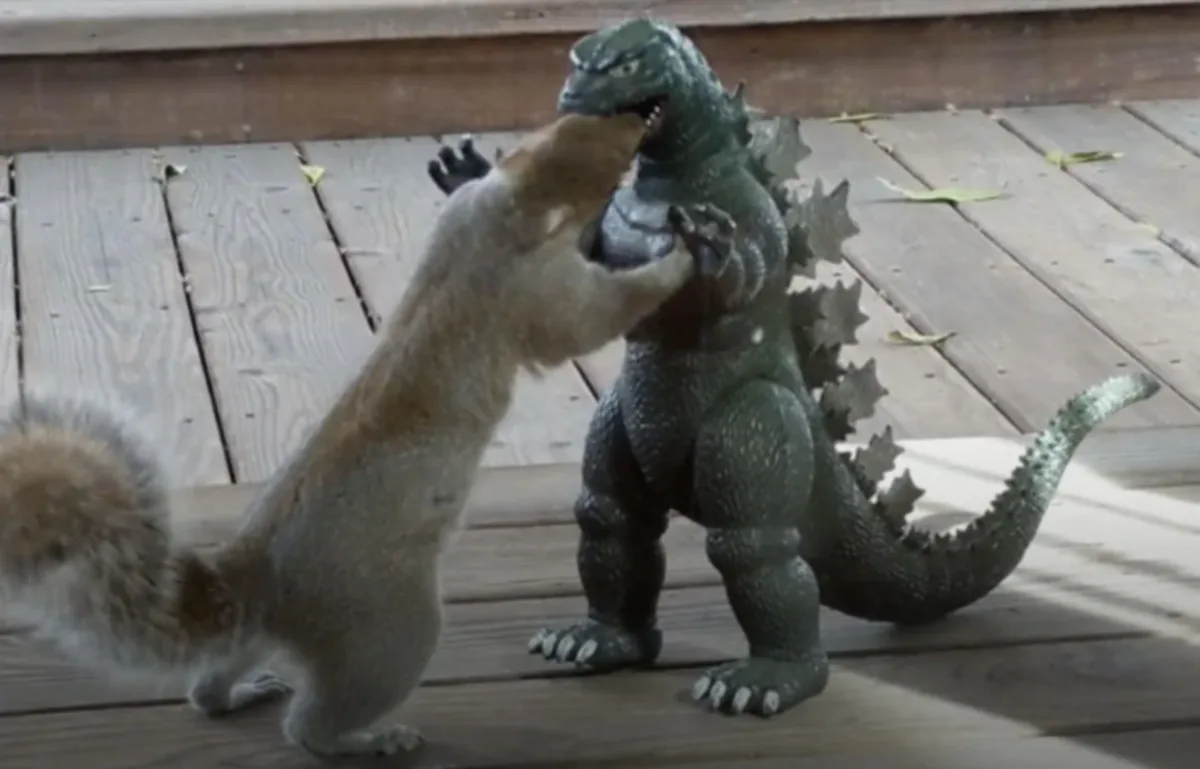 A real squirrel is standing on its hind legs and appears to be fighting or aggressively interacting with a green Godzilla…