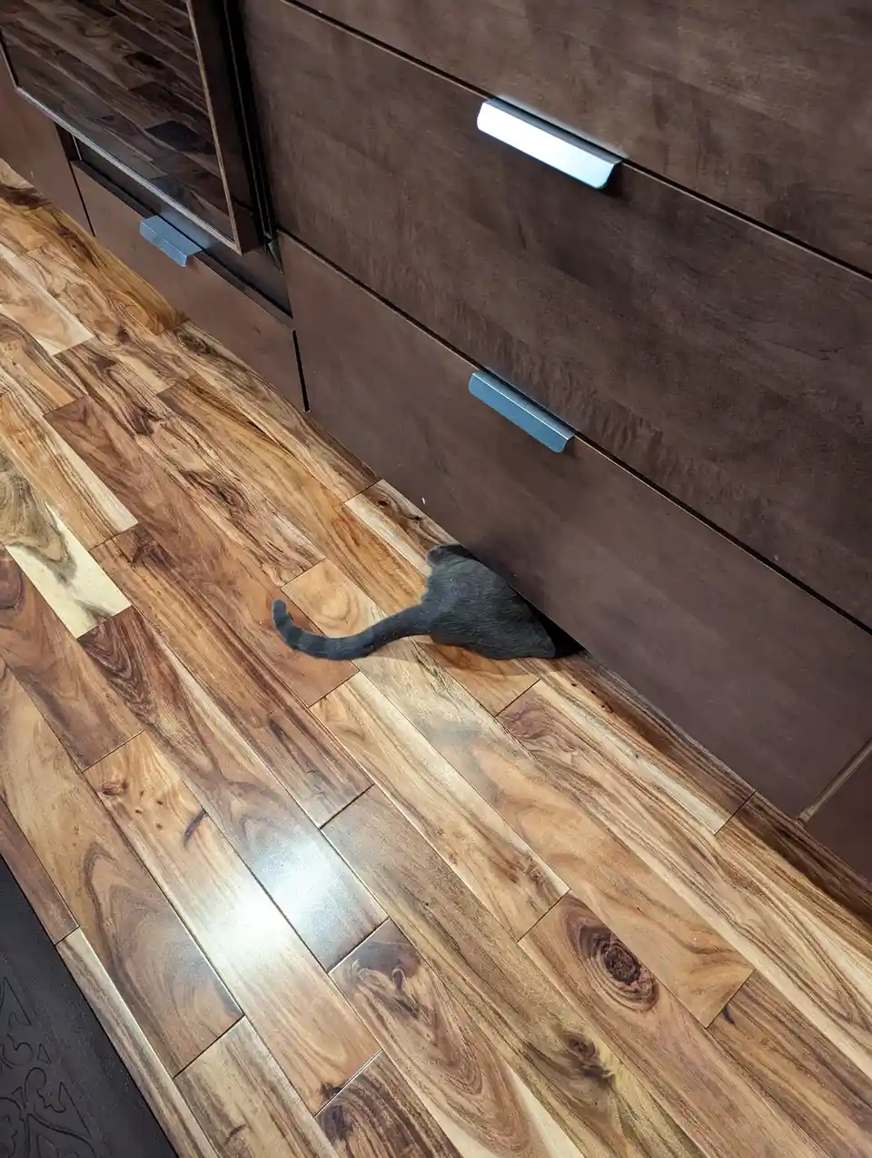 A black cat is partially hidden inside a narrow gap between a dark wood cabinet and a light wood floor, with only its tail…