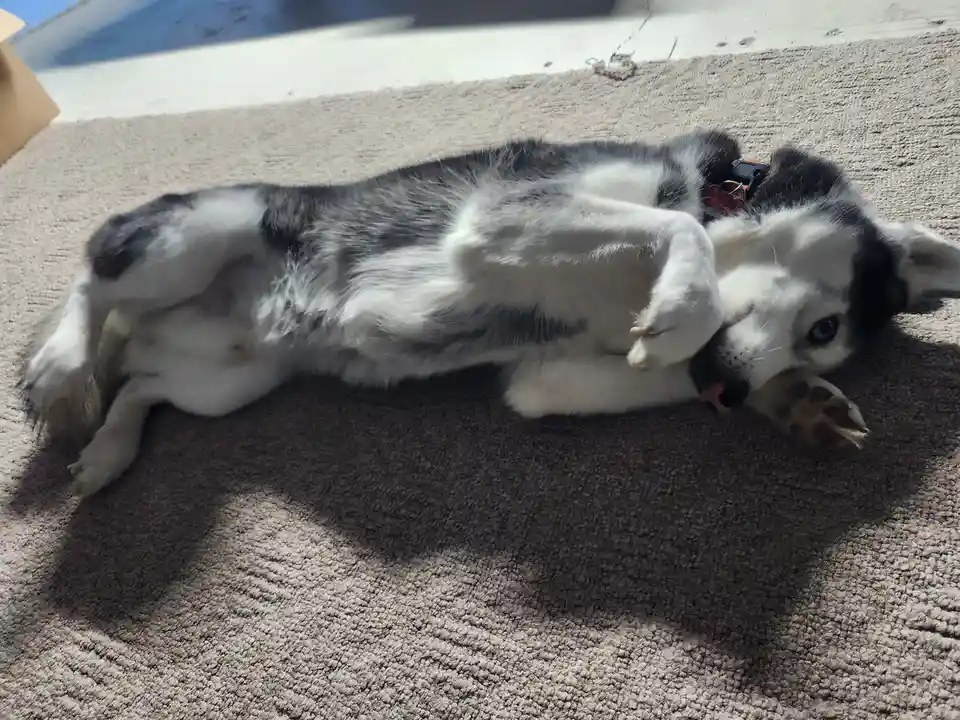 Draw me like one of your French girls, Jack!